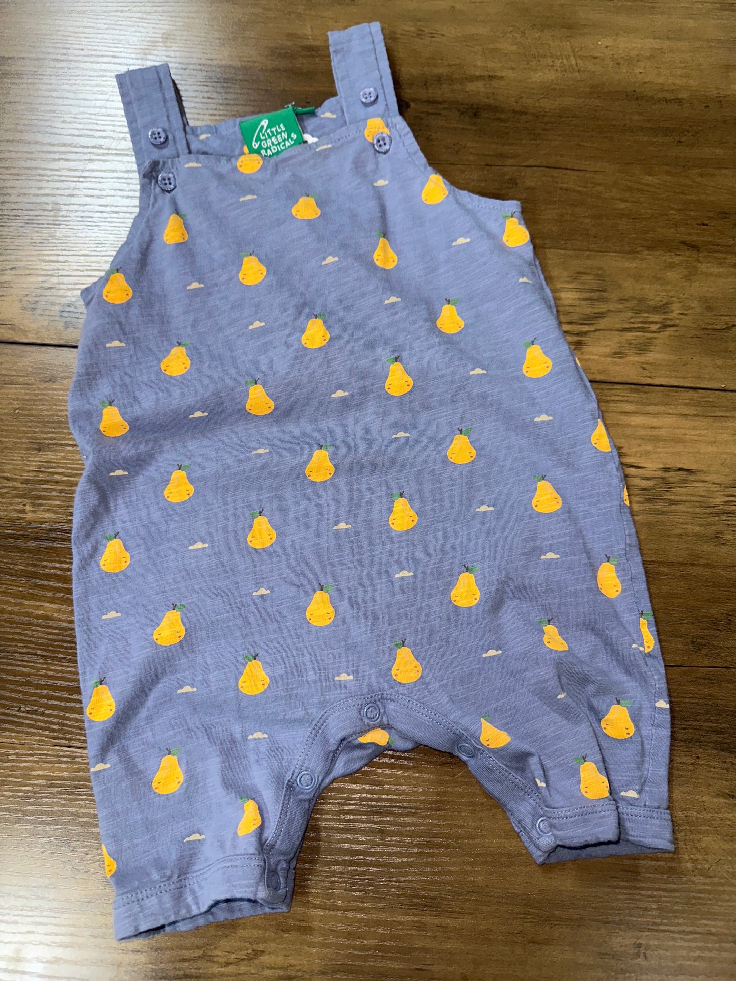 18-24 months Little Green Radicals