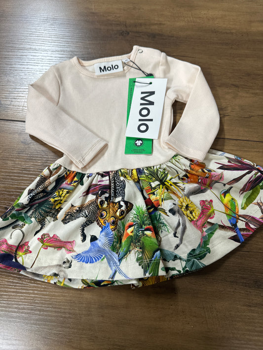 3-6 months Molo