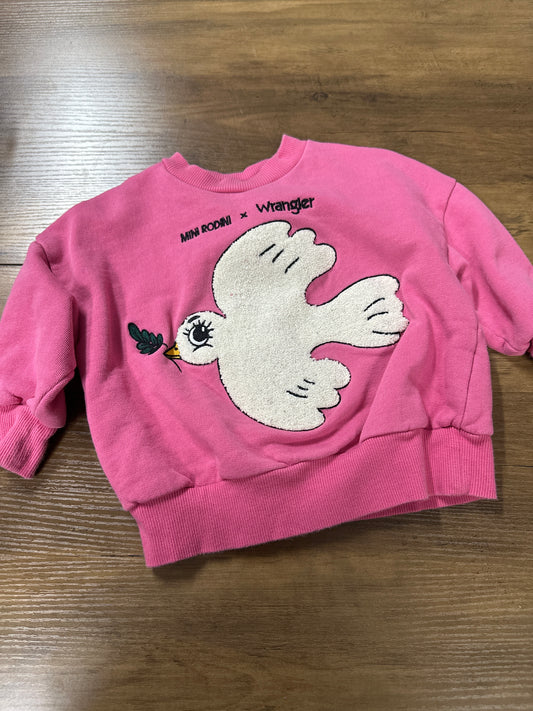 9-18 mini rodini x wangler