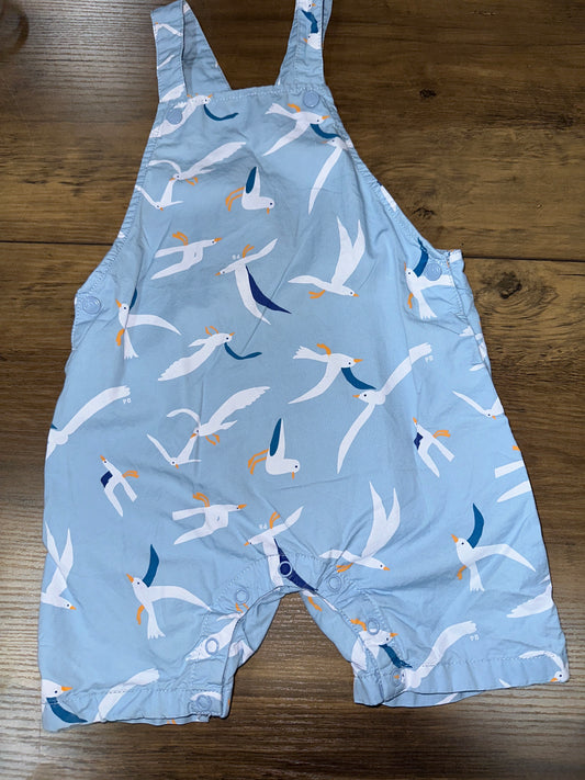 24 months Petit Bateau