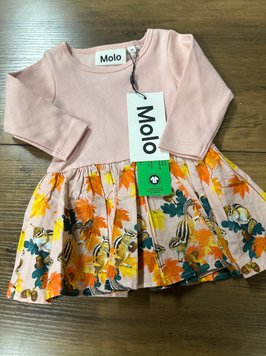 3-6 months molo